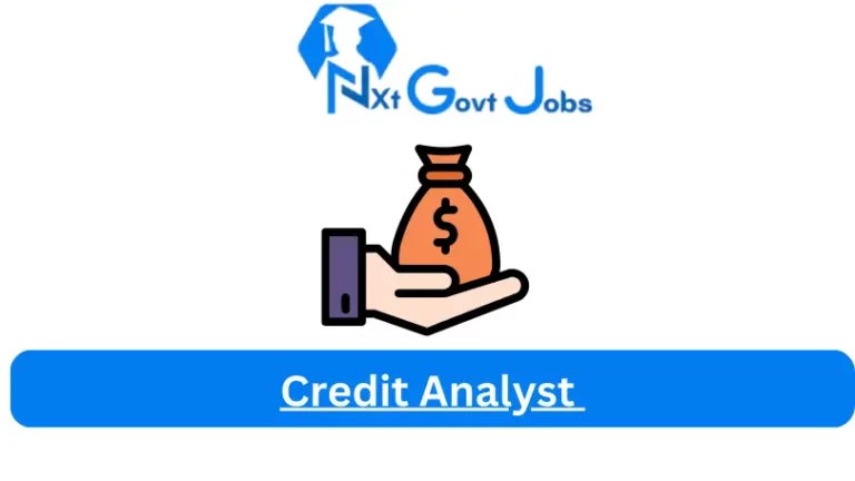 Credit Analyst Jobs in South Africa @New