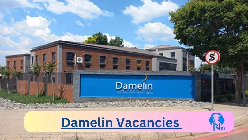 New Damelin Vacancies 2024 | Apply Now @damelin.co.za for Cleaner, Assistant Jobs