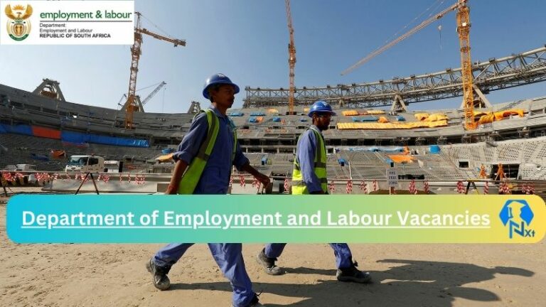 New X3 Department of Employment and Labour Vacancies 2024 | Apply Now @www.labour.gov.za for Audit Committee Chairperson, Risk Management Committee Chairperson Jobs