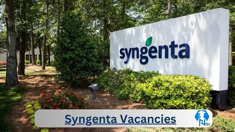 New X1 Syngenta Vacancies 2024 | Apply Now @www.syngenta.co.za for Supervisor, Marketing Specialist Jobs