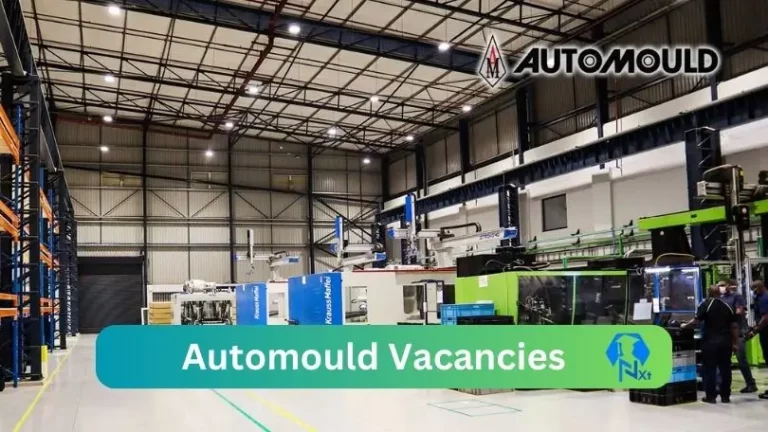 New X1 Automould Vacancies 2024 | Apply Now @www.automould.co.za for Cleaner, Assistant Jobs