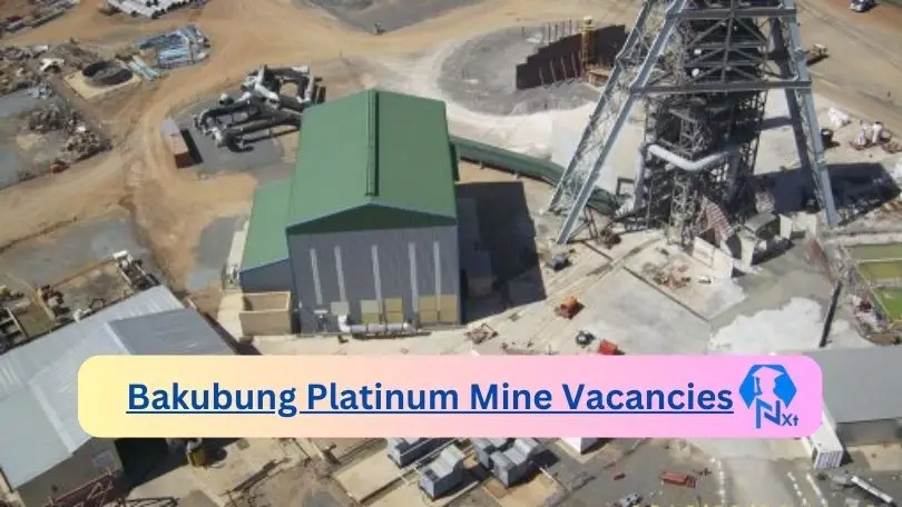 New X3 Bakubung Platinum Mine Vacancies 2024 | Apply Now @wesizwe.co.za for IT Support Technician, Senior Reporting Accountant Jobs
