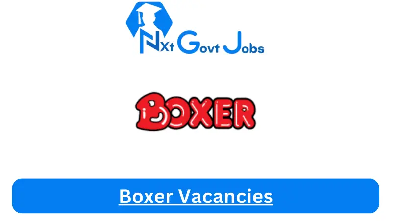 New X11 Boxer Vacancies 2024 | Apply Now @www.boxer.co.za for Commercial Finance and Administration Manager, Junior Confined Label Technologist Jobs