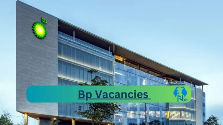 Bp Petrol vacancies 2024 Apply Online @www.bp.com