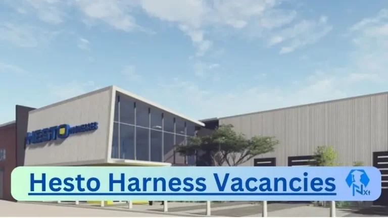 New x1 Hesto Harness Vacancies 2024 | Apply Now @www.hesto.com for Process Engineer Pre Assembly, Industrial Engineer Jobs