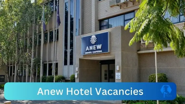 New X37 Anew Hotel Vacancies 2024 | Apply Now @anewhotels.com for Executive Housekeeper, Receptionist Jobs