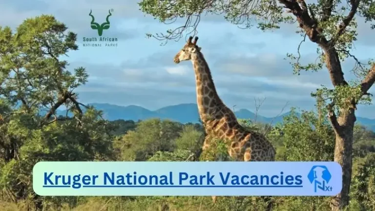 New X1 Kruger National Park Vacancies 2024 | Apply Now @www.sanparks.org for Supervisor, Admin Jobs