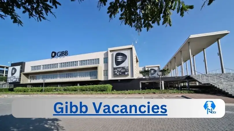 New X4 Gibb Vacancies 2024 | Apply Now @www.gibb.co.za for Senior Electrical Engineer, Project Administrator Jobs