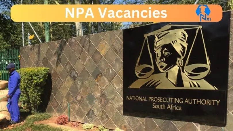 New x9 NPA Vacancies 2024 | Apply Now @www.npa.gov.za for Financial Investigator, Director Public Prosecutions Jobs