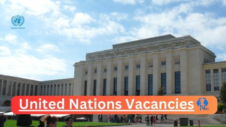 New X1 United Nations Vacancies 2024 | Apply Now @unjobs.org for Human Rights Officer, Programme Assistant Jobs