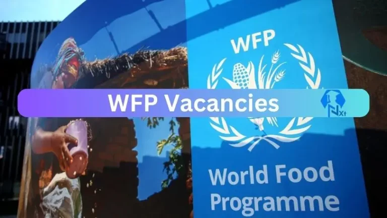WFP Procurement Jobs 2024 Apply Online @www.wfp.org