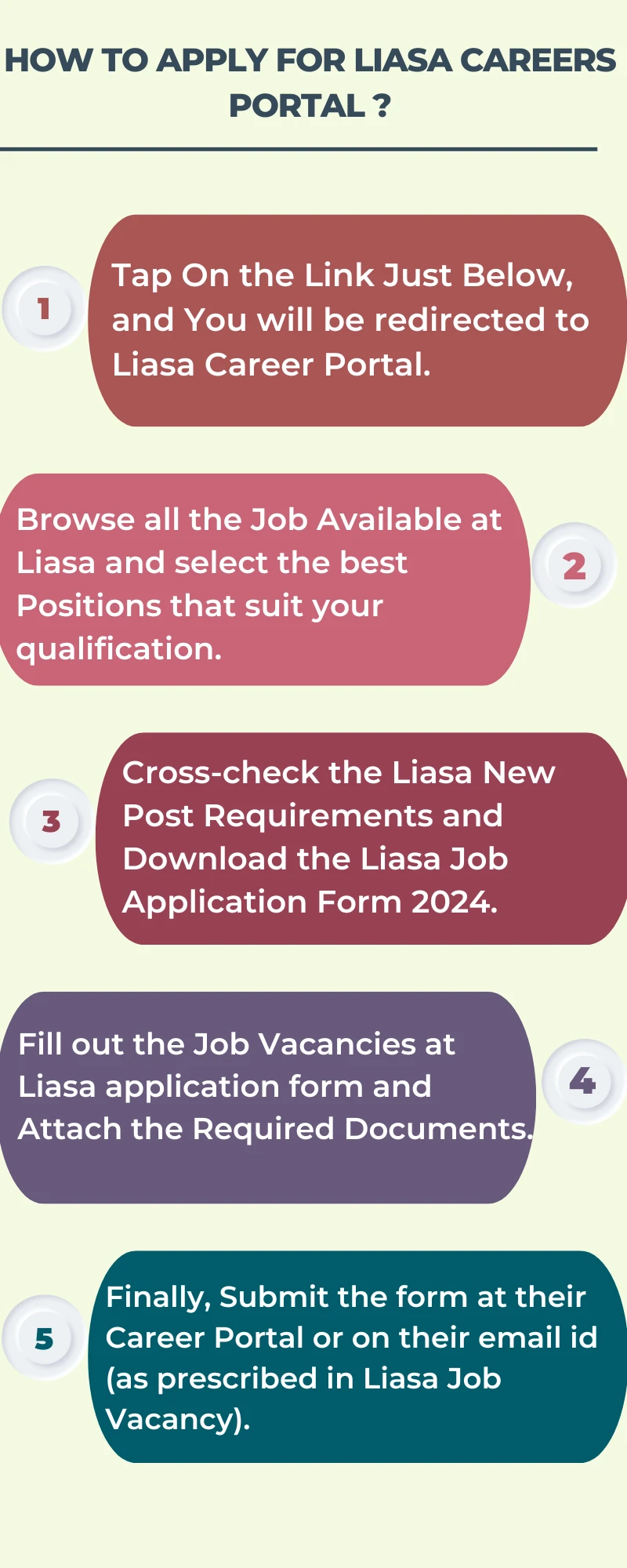 How To Apply for Liasa Careers Portal ?