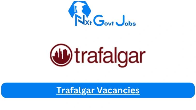 New X5 Trafalgar Vacancies 2024 | Apply Now @www.trafalgar.co.za for Take On Residential Letting Consultant, HR Manager Jobs